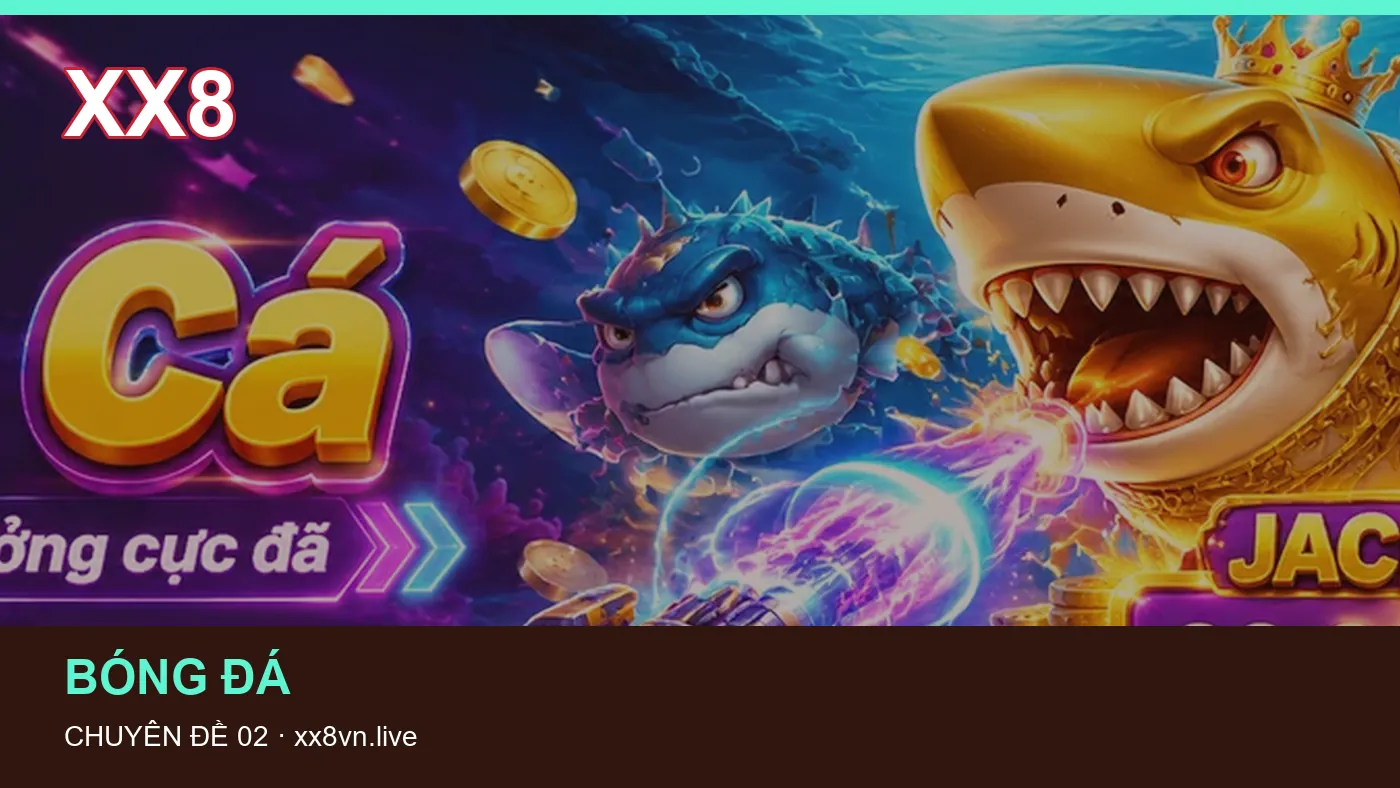 Thể thao: những thuật ngữ cần hiểu khi tra cứu XX8 | xx8vn.live