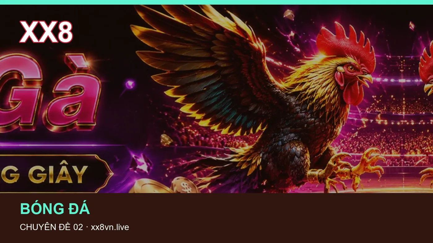 Cách bắt đầu đọc chuyên mục Lịch thi đấu trên XX8 | xx8vn.live