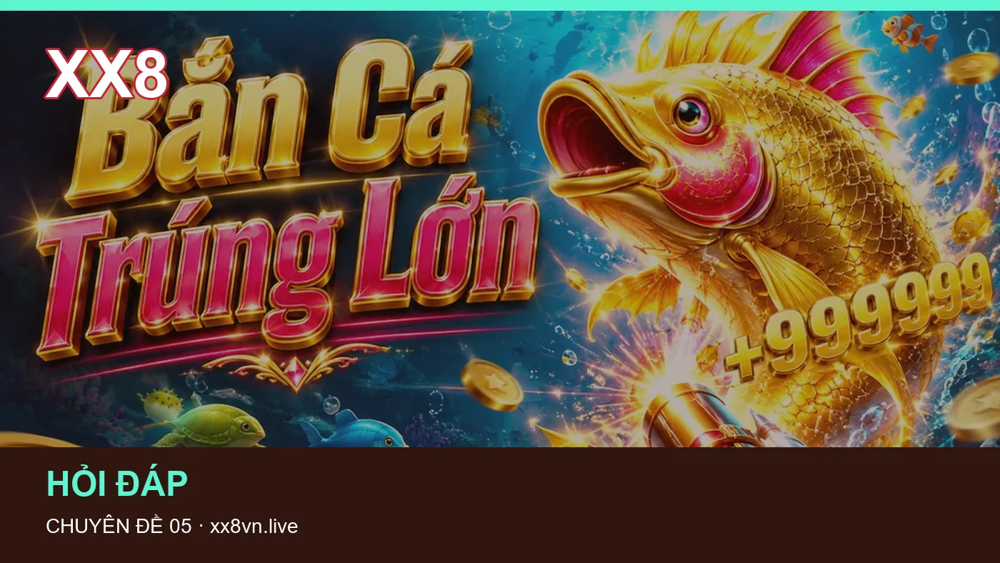 Cách bắt đầu đọc chuyên mục Dữ liệu trận đấu trên XX8 | xx8vn.live