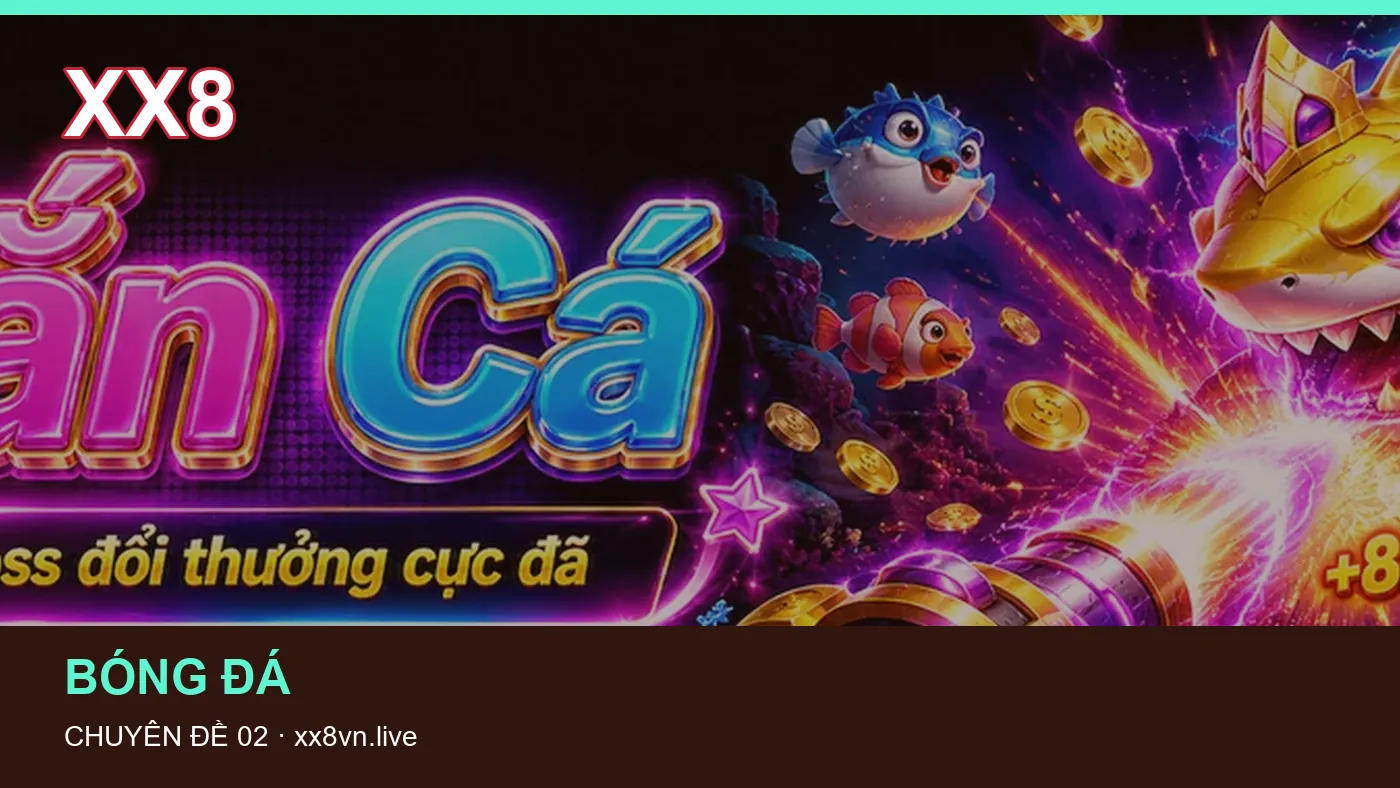 Danh sách kiểm tra thông tin Dữ liệu trận đấu dành cho người đọc XX8 | xx8vn.live